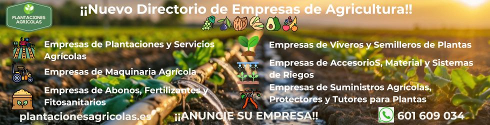 Plantaciones Agrícolas - Directorio de Empresas