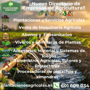 Plantaciones Agrícolas - Directorio de Empresas