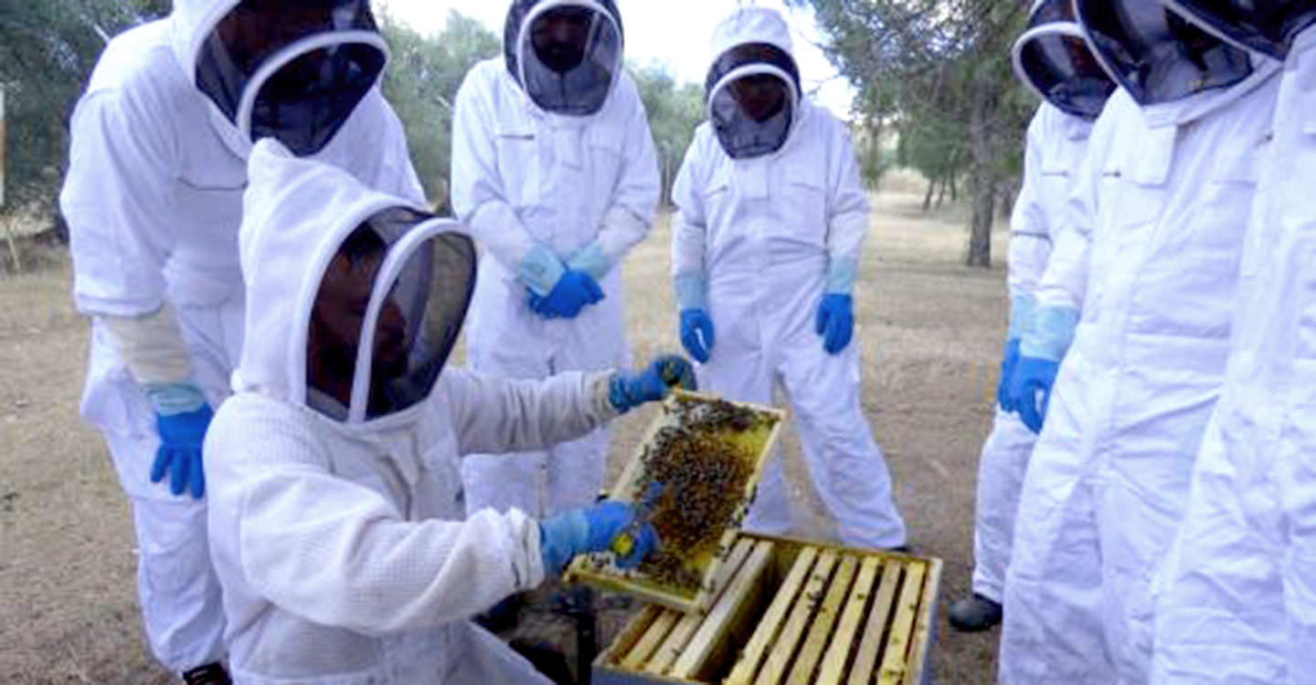 Cerca de una veintena de bomberos participan en un curso de intervención apícola para formarse en la retirada de enjambres de abejas en el entorno urbano