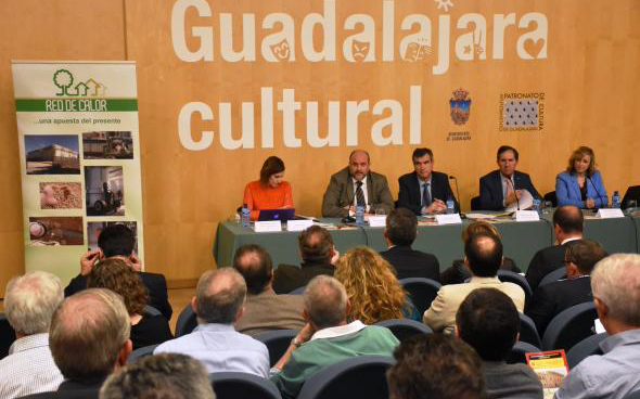 El Gobierno de Castilla -La Mancha apuesta por “devolver la rentabilidad a los montes” a través de la Estrategia Regional de Biomasa