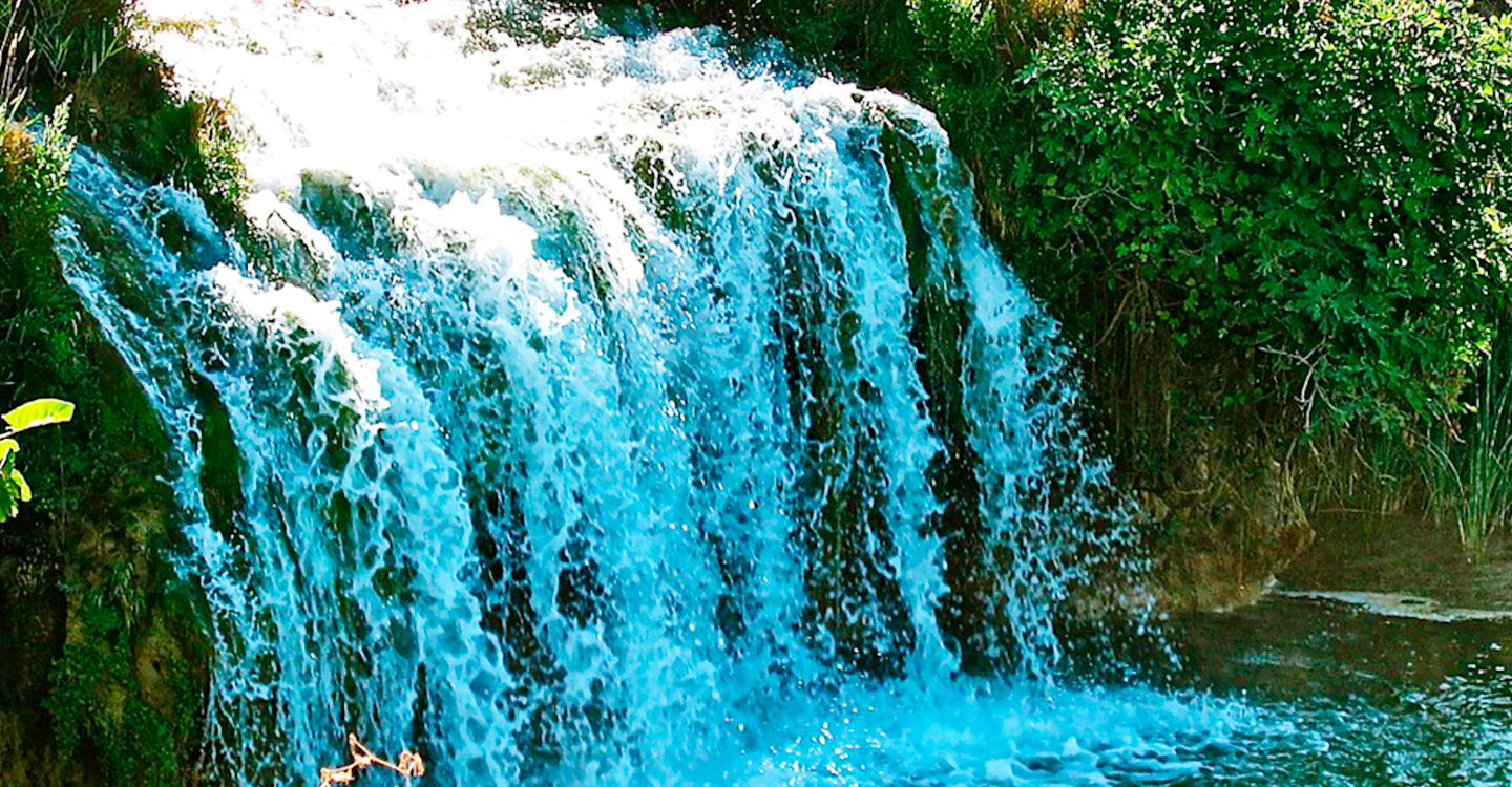 Flora de las Lagunas de Ruidera