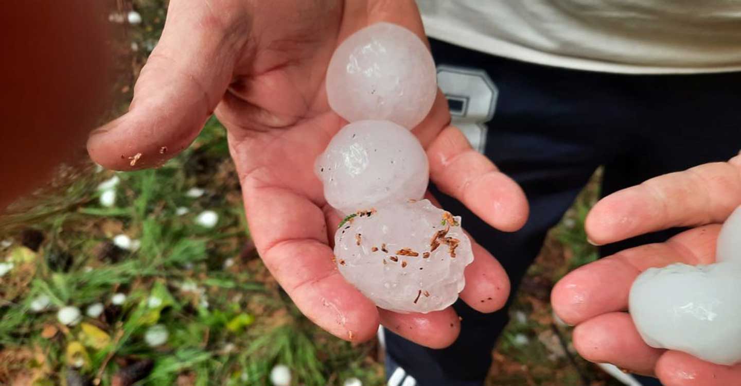 Las tormentas de granizo dejan daños en los cultivos de la región