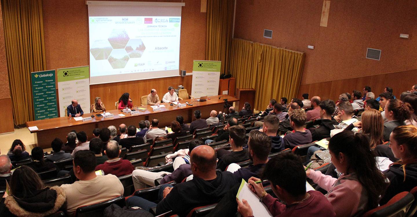 Cooperativas Agro-alimentarias forma en Albacete a más de un centenar de profesionales sobre la aplicación de las cubiertas vegetales en los cultivos leñosos