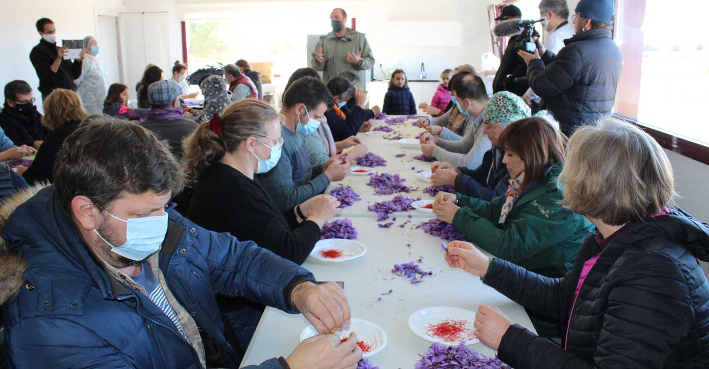 La DOP Azafrán de La Mancha cierra con éxito el curso “Conoce el Azafrán de La Mancha”, tres días de formación intensiva en torno a la especia