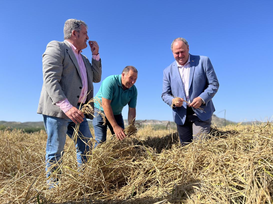 El Gobierno de Castilla-La Mancha trabaja con los productores arroceros de Hellín para incluir el arroz con DOP Calasparra en la marca ‘Campo y Alma’ 