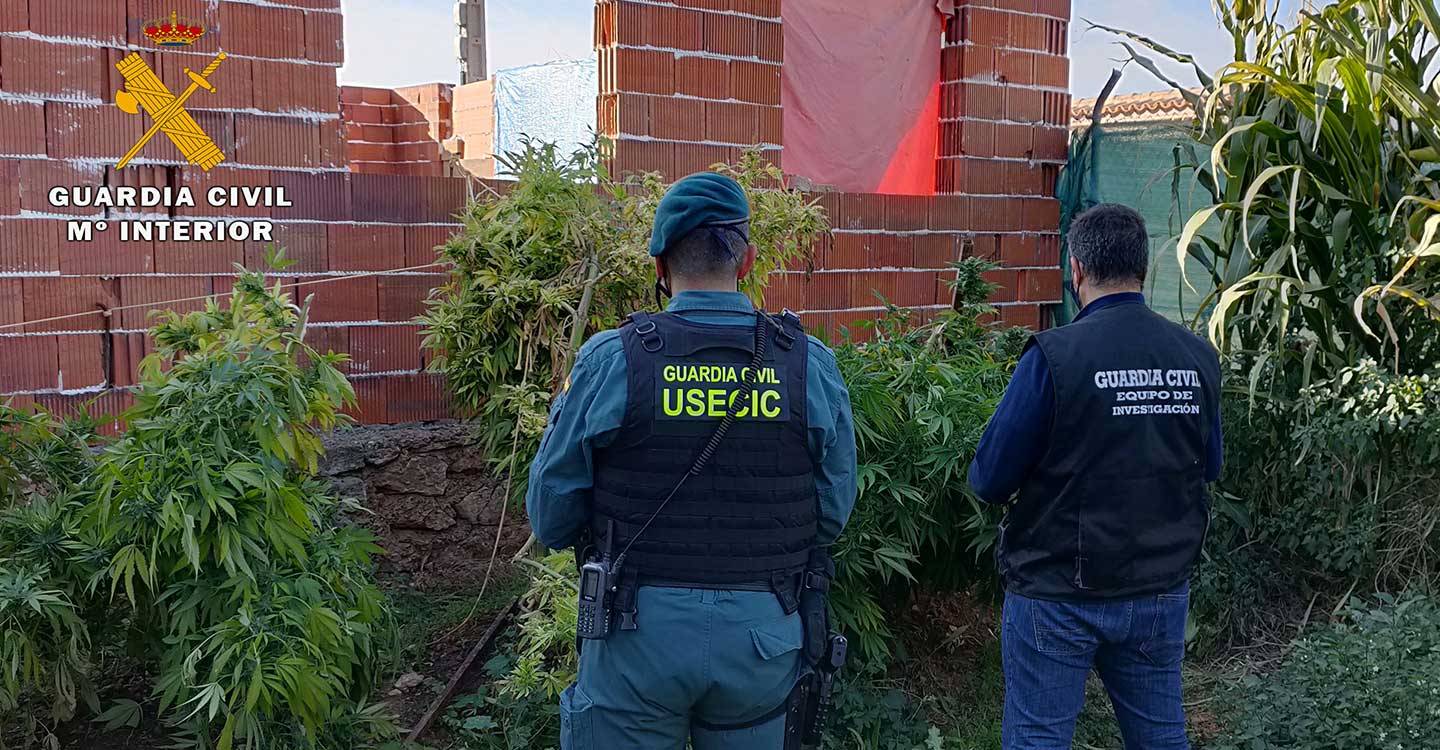 La Guardia Civil de Albacete desmantela un punto de venta de drogas en la localidad de Ossa de Montiel