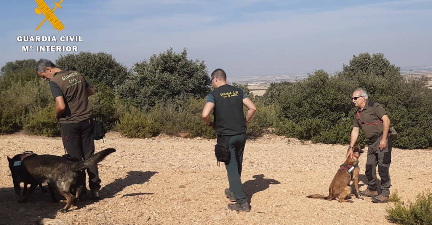 La Guardia Civil de Albacete detiene a una persona por un delito relativo a la protección de la flora, fauna y animales domésticos