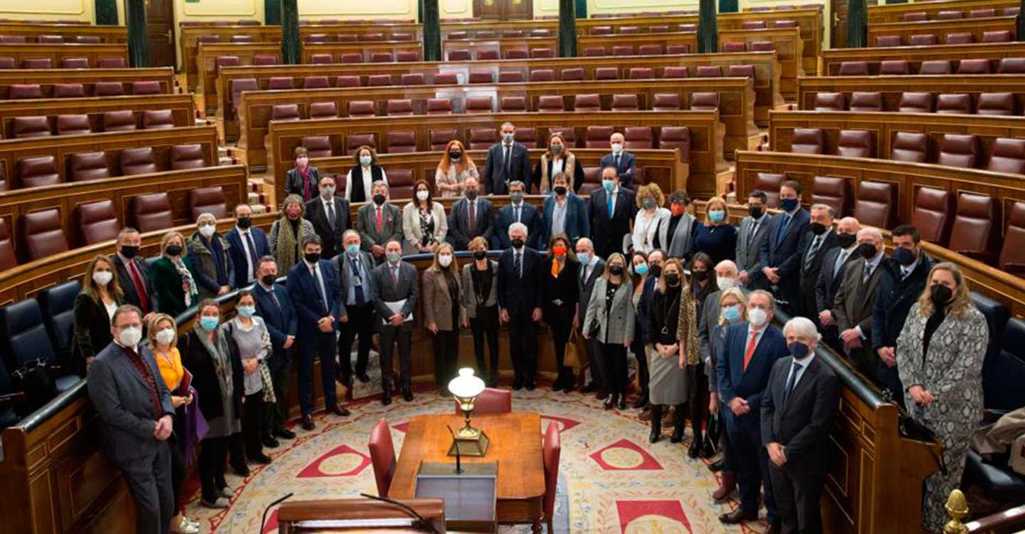 Los Colegios de Abogados reclaman en el Congreso la reforma de la Ley de Asistencia Jurídica Gratuita