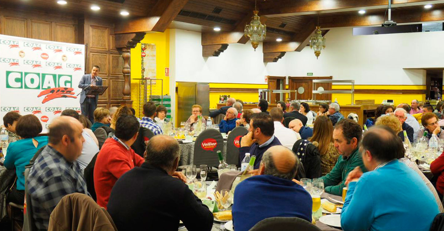 Castilla-La Mancha apuesta por los jóvenes agricultores y ganaderos para que el sector sea “cada vez más rentable y más competitivo”