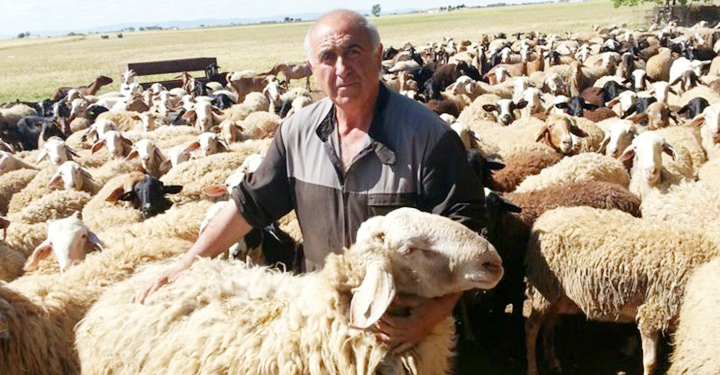 ASAJA Ciudad Real solicita agilidad en la convocatoria de ayudas a ganaderos para reponer animales por vaciado sanitario