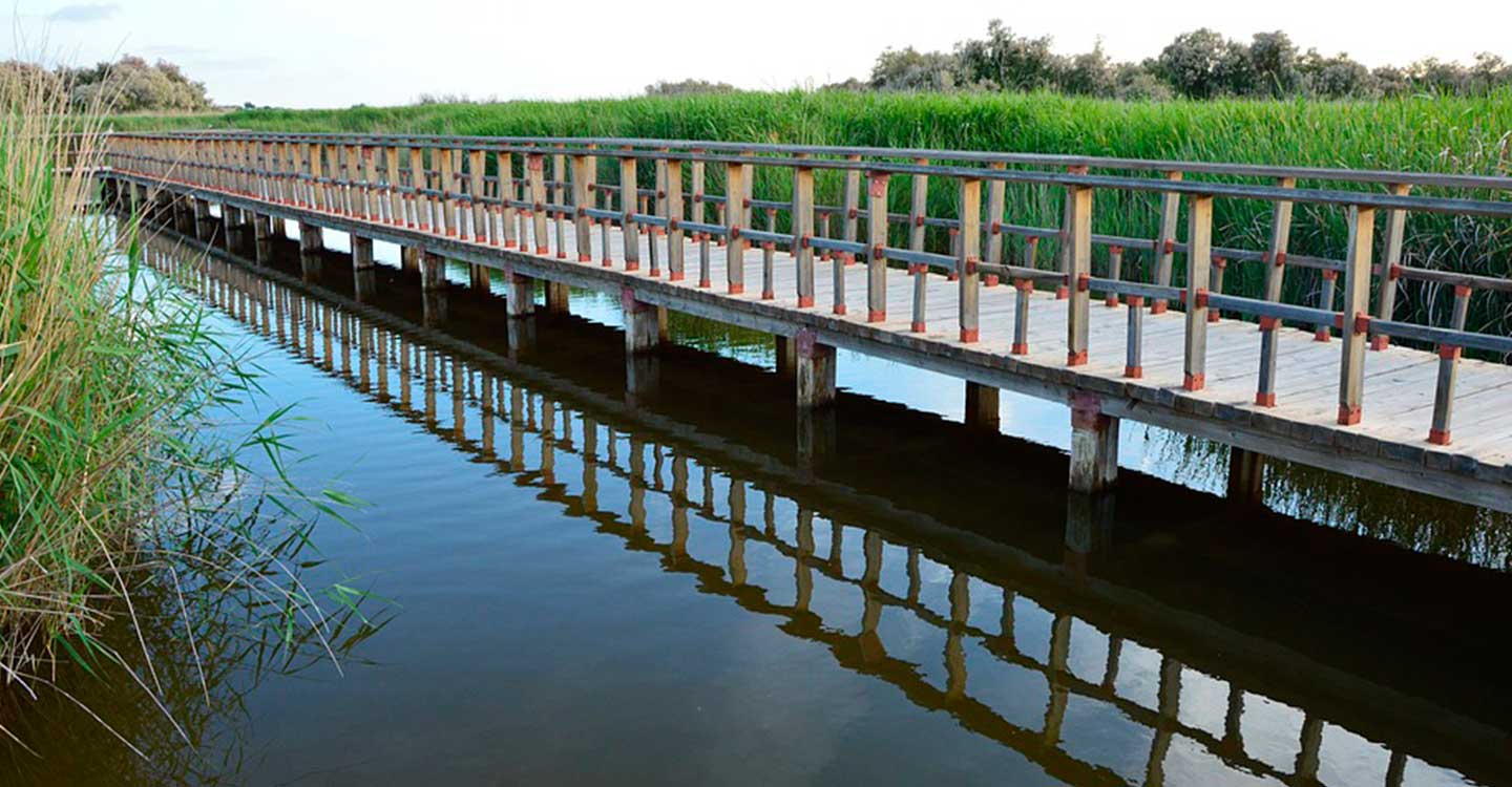 ASAJA Ciudad Real apoya la petición de derivar 20 hectómetros cúbicos de agua a las Tablas de Daimiel por la Tubería Manchega 