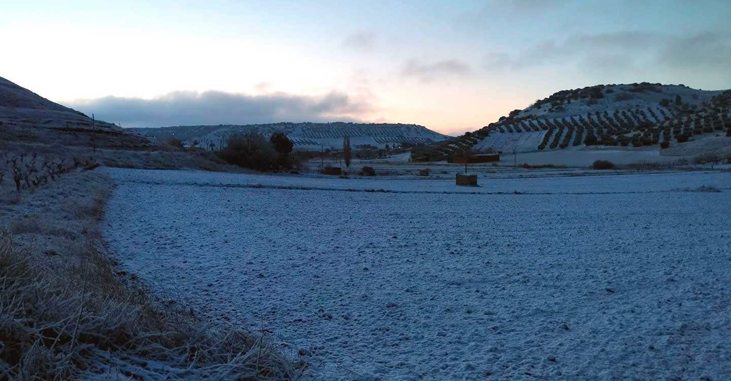 El municipio de Carrizosa amanece nevado por tercer año consecutivo
