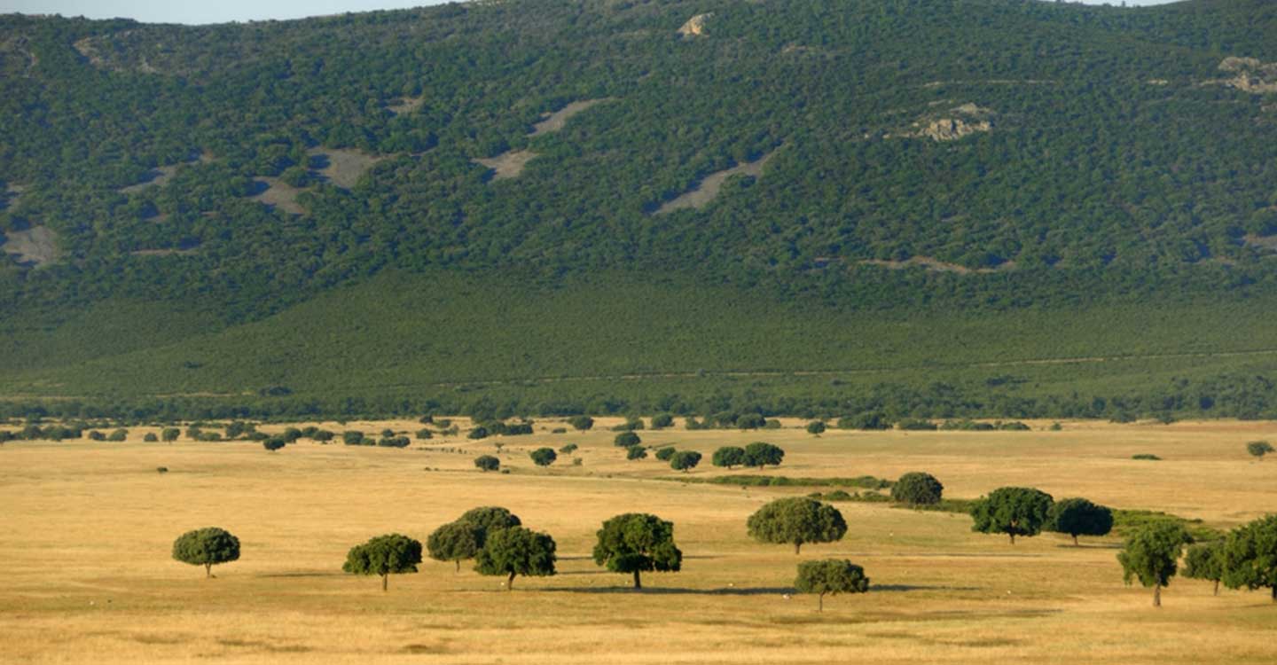 CCOO denuncia por impagos e incumplimientos de convenio a la contrata de la limpieza de los edificios de los Parques Nacionales de Cabañeros y Tablas de Daimiel