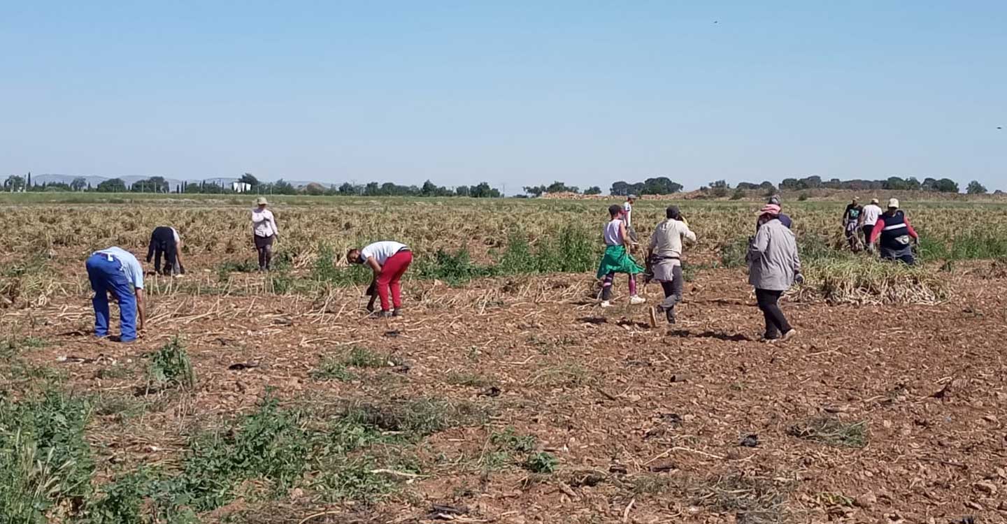 CCOO-Industria CLM inicia el plan sindical de visitas a explotaciones agrarias y atención a temporeros durante las campañas de este año