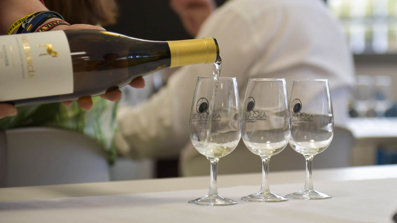 El Club de Vinos de Ciudad Real realza las singularidades de tres grandes Vinos de Pago de CLM en una cata en FENAVIN