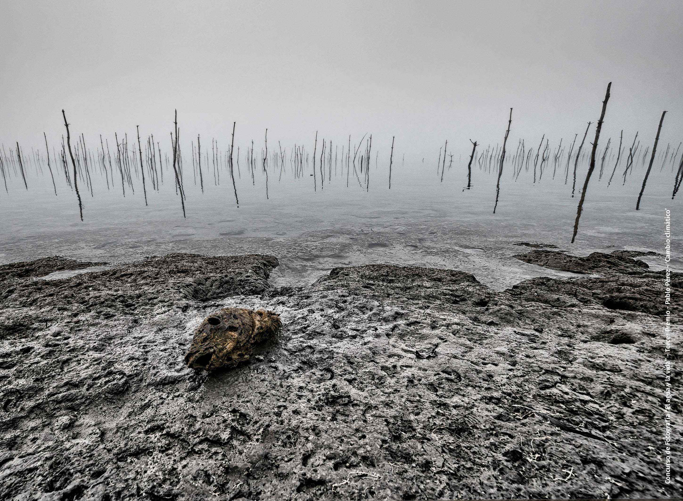 concurso Fotografico Agua y Vida