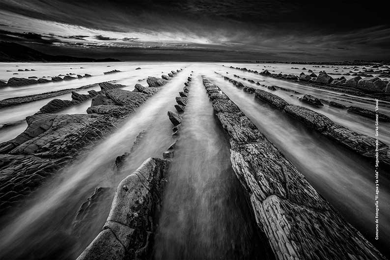 Arturo López gana el Primer Premio del Concurso de Fotografía El agua y la vida