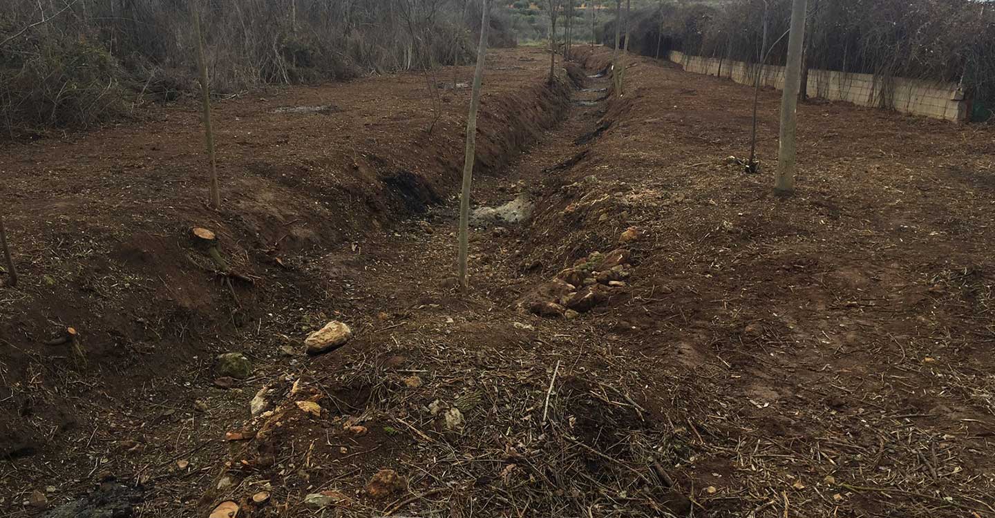 La Confederación Hidrográfica del Guadiana realiza trabajos de tratamiento de vegetación para evitar desbordamientos no naturales en el Arroyo de El Peral