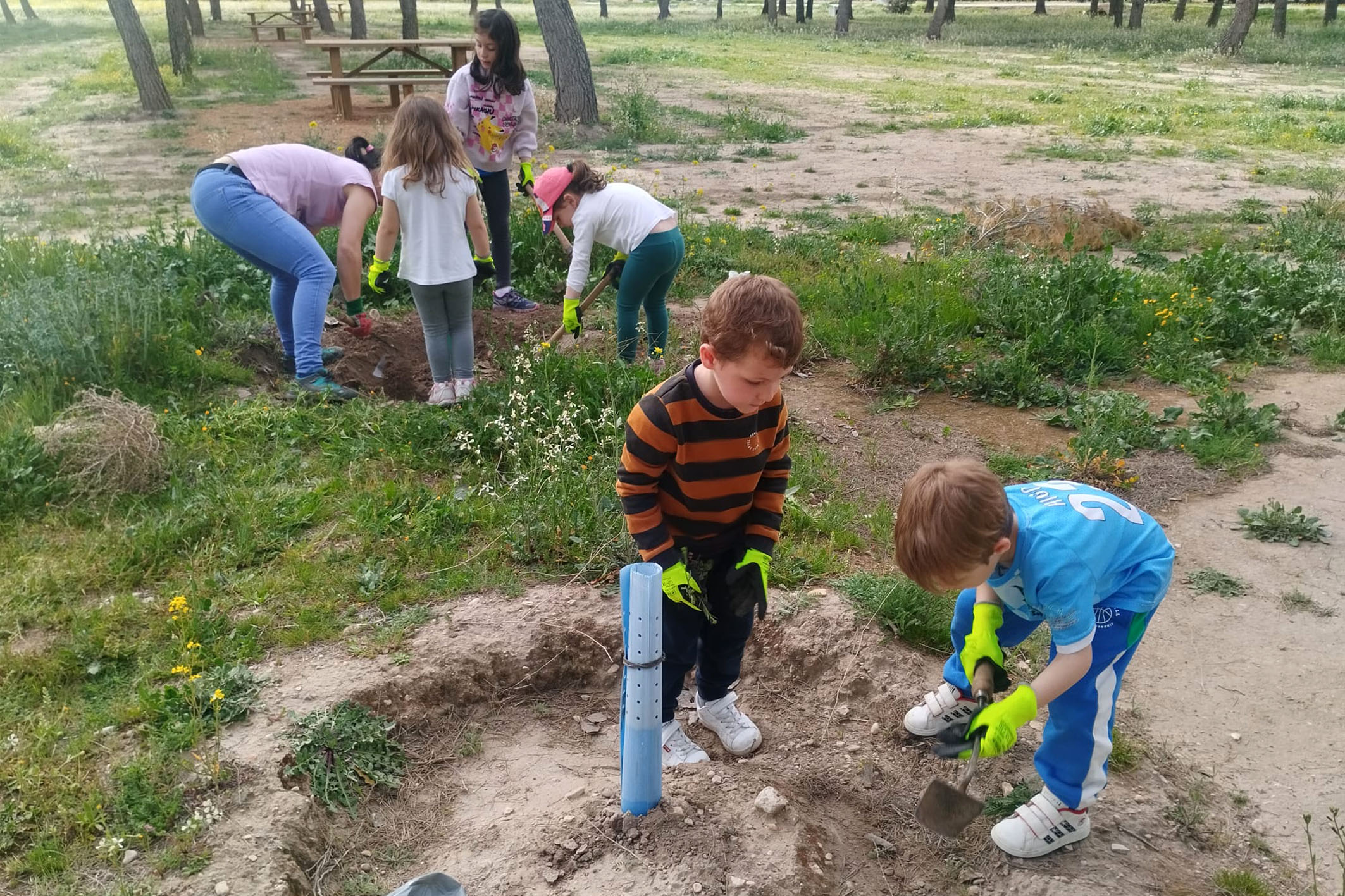 Las Aulas Corresponsables de Argamasilla de Alba celebraron el Día Internacional de los Bosques