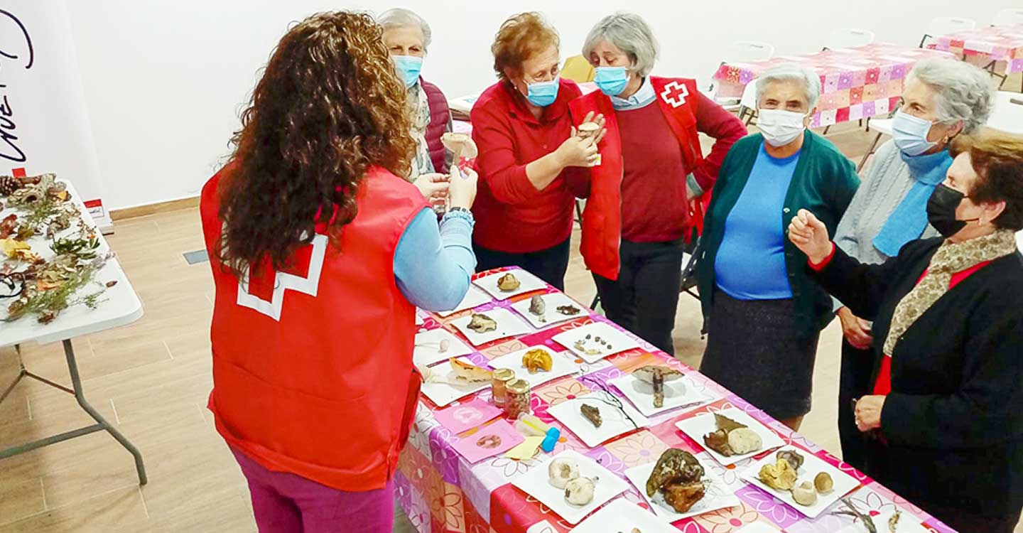 Cruz Roja acerca el apasionante mundo de la micología a mayores de Almodóvar del Campo