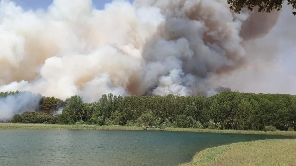 Declarado un incendio forestal en Ruidera