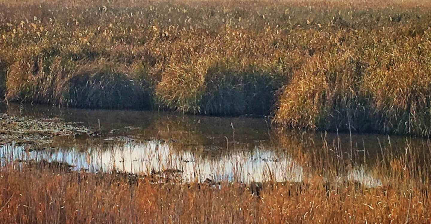 Descubre el Parque Natural de las Lagunas de Ruidera