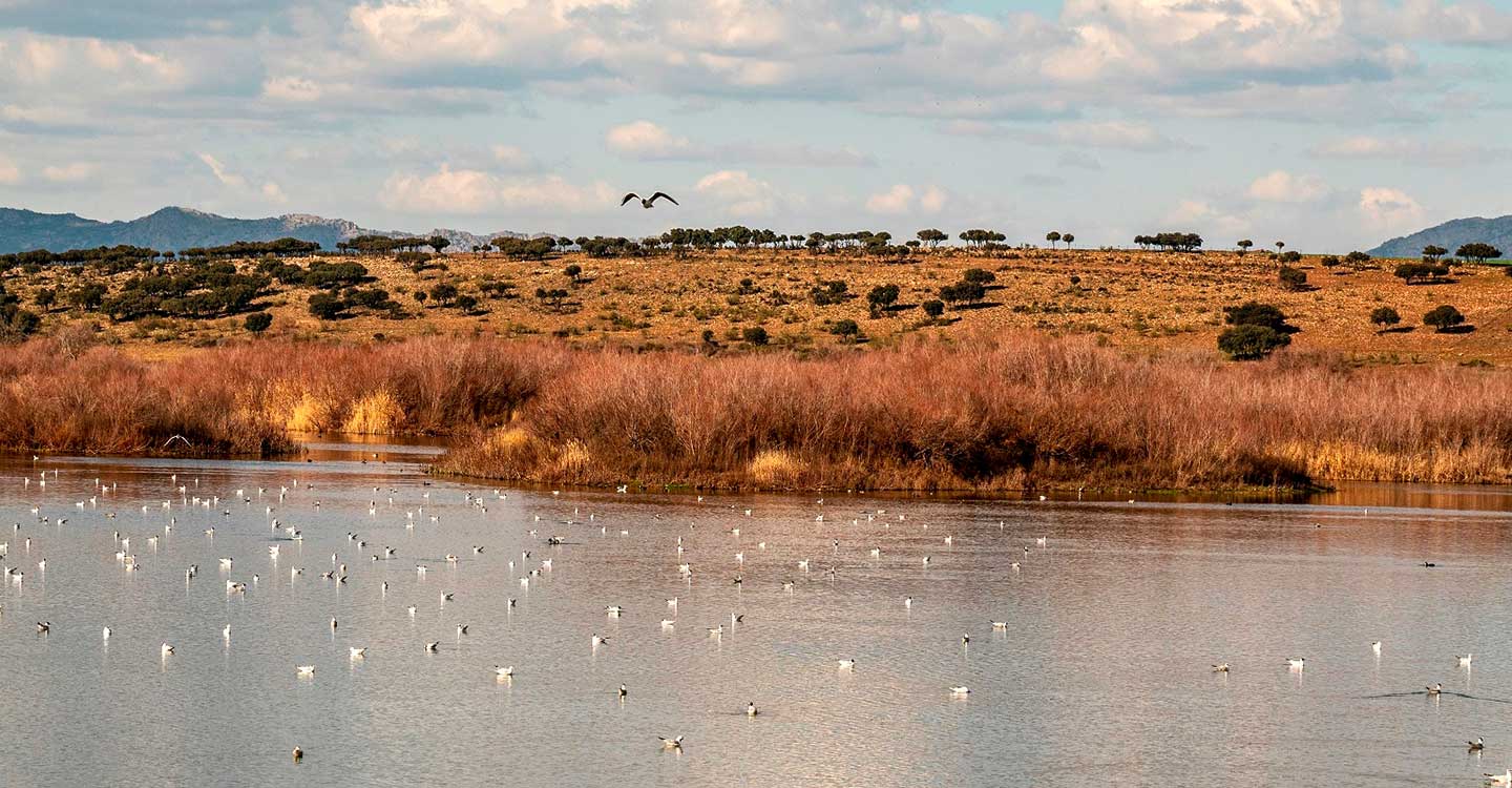 La Confederación Hidrográfica del Guadiana programa actividades para celebrar el Día Mundial del Agua 2022