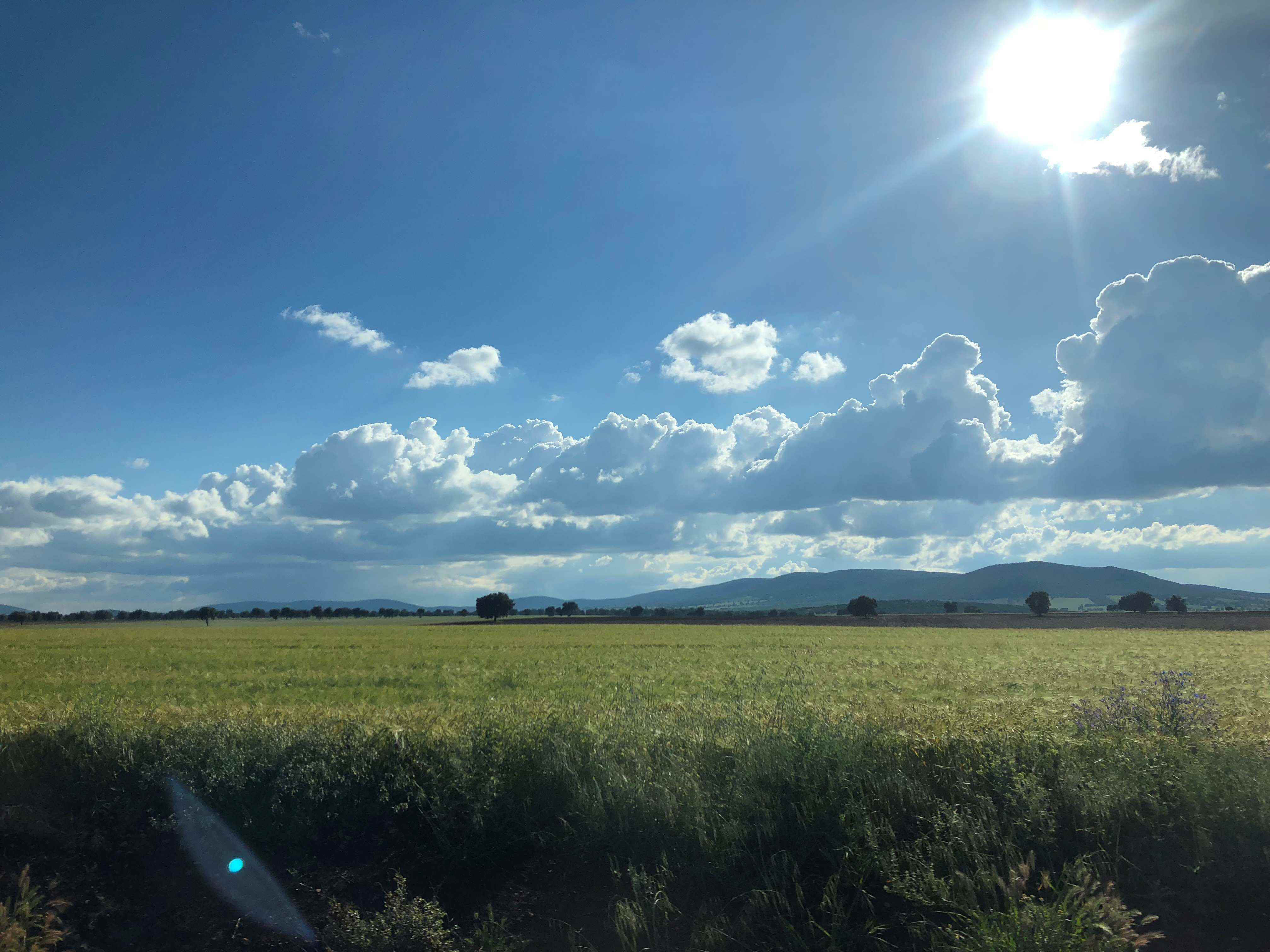 Este lunes se abona más de 93 millones de euros de la PAC a 26.800 agricultores y ganaderos de Ciudad Real 