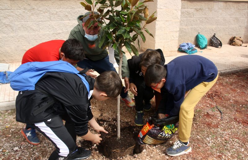 La Gerencia de Alcázar de San Juan celebra el Día Mundial del Medio Ambiente plantando árboles, con una charla y un desayuno saludable