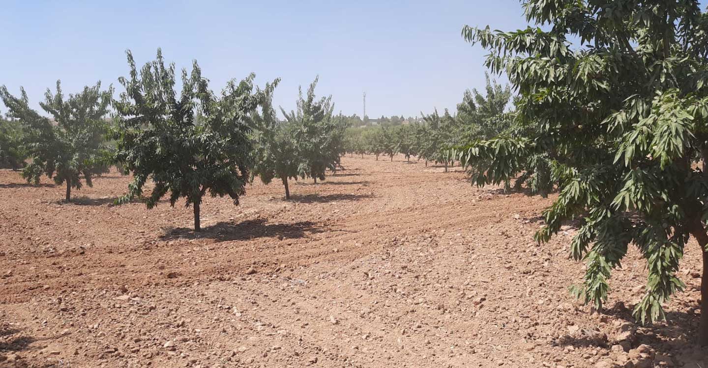 Arranca en Castilla-La Mancha el programa CULTIVA con parada en El Herrumblar (Cuenca) 