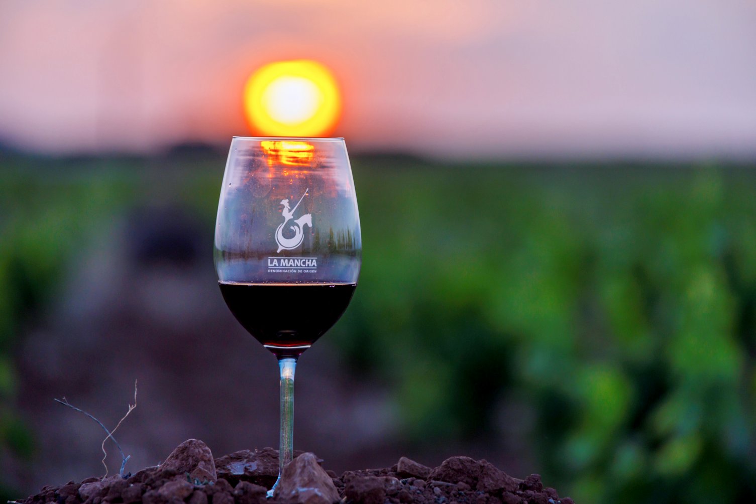 La trazabilidad de los vinos y la garantía de calidad son dos de los pilares Denominación de Origen La Mancha