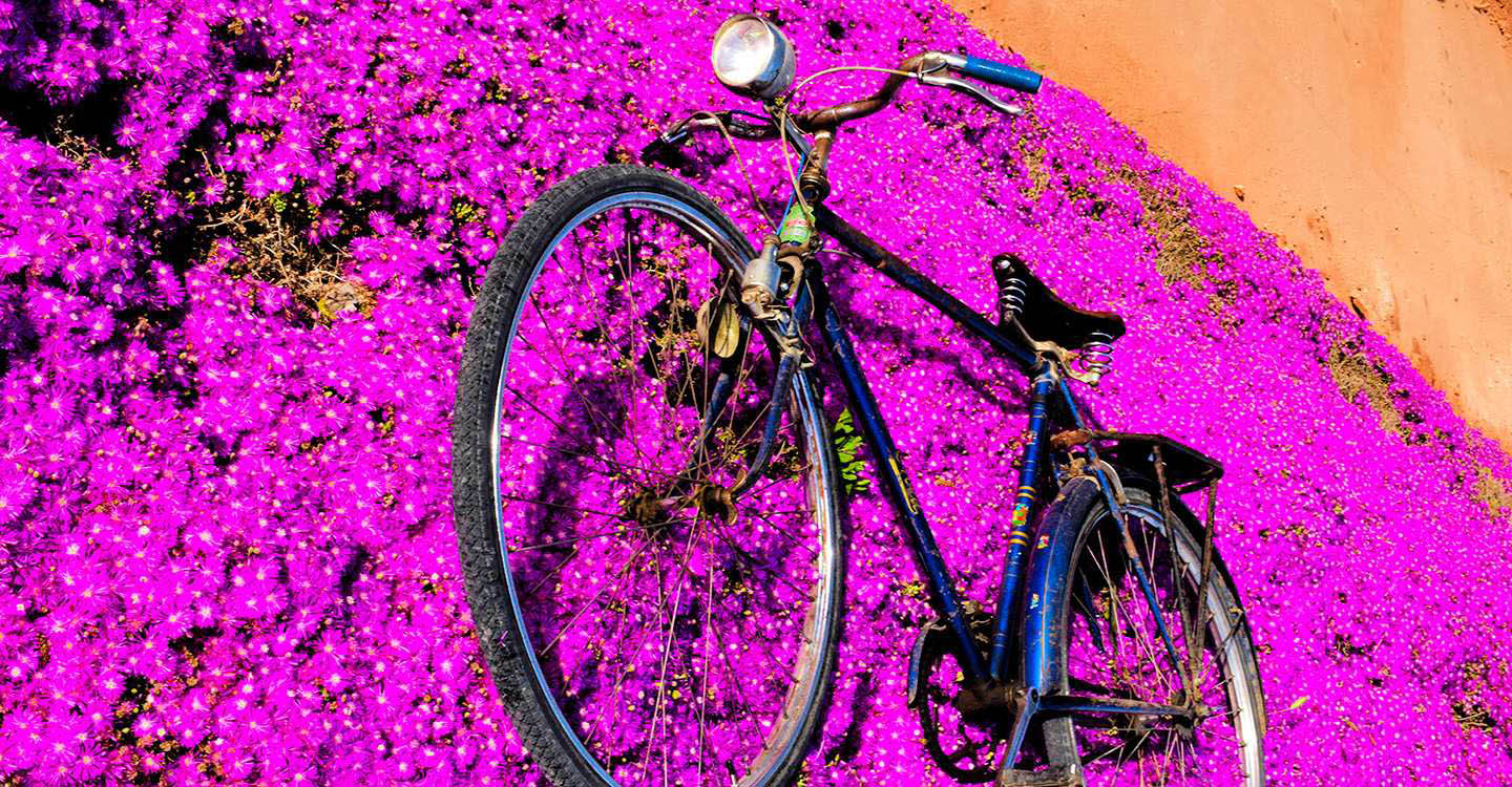 La senda violeta de Juan Criado Carrera gana el II Concurso Manzanares 30 días en bici