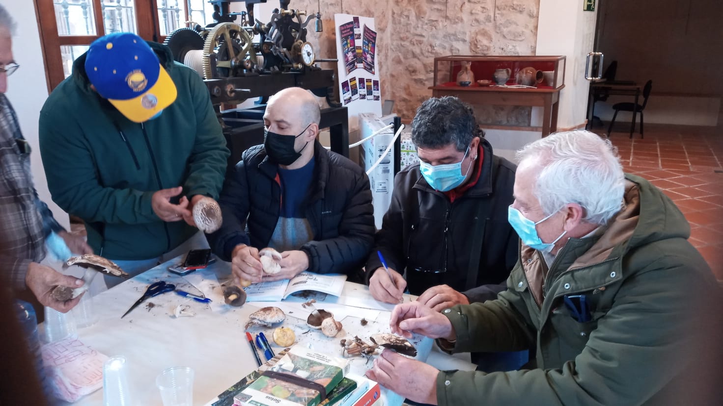 Jornadas Micología Villarrubia de los Ojos