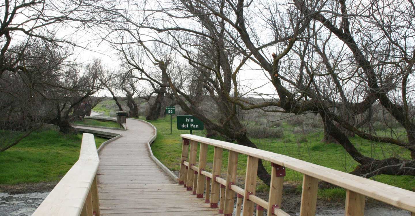 El Patronato del P.N. Las Tablas de Daimiel reclama actuaciones urgentes para su conservación