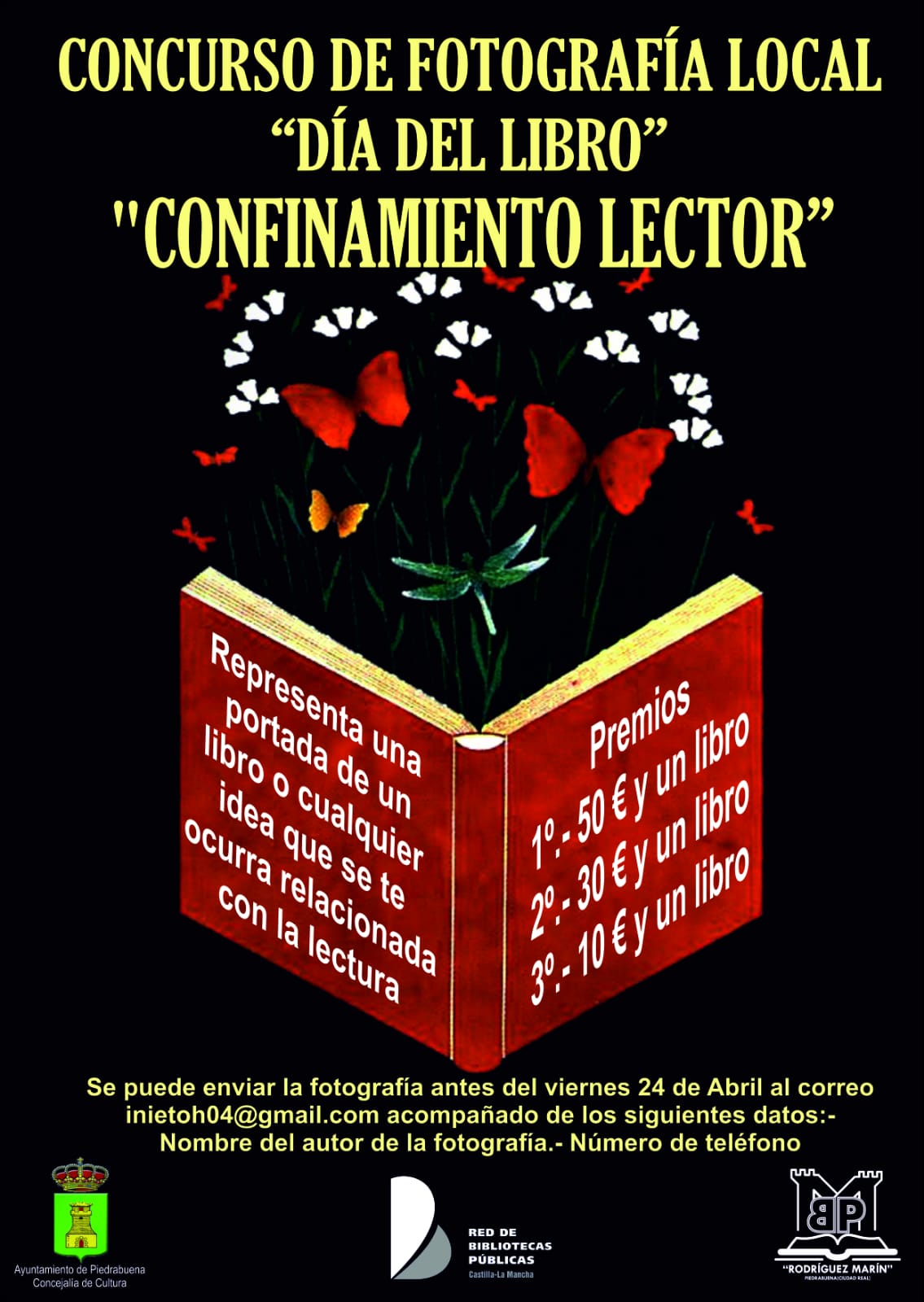 Día del libro piedrabuena