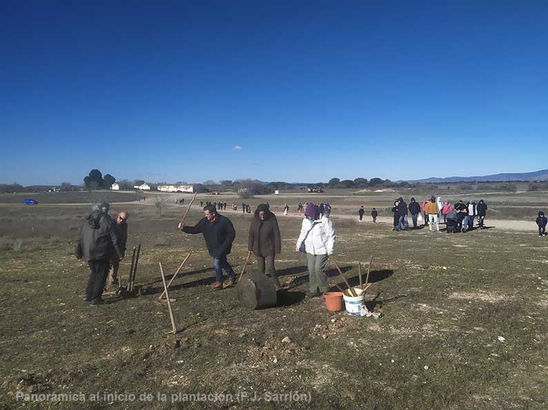 Colectivos realizan una plantación por la paz en el Parque Nacional de las Tablas de Daimiel, recordando el aniversario del asesinato de Gandhi