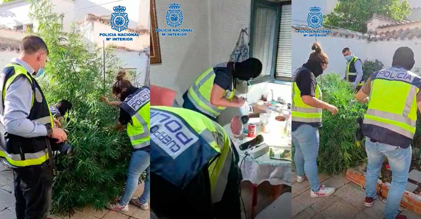 La Policía Nacional desmantela un importante punto de venta de estupefacientes en Valdepeñas (Ciudad Real)