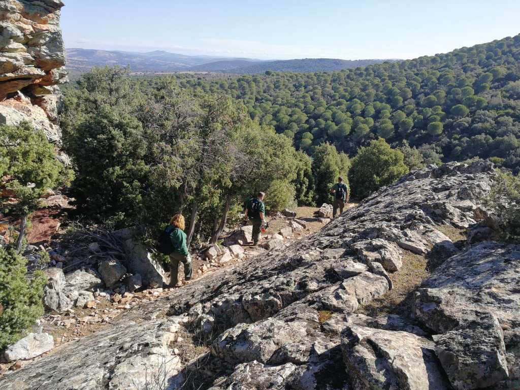 Viso del Marqués Recual