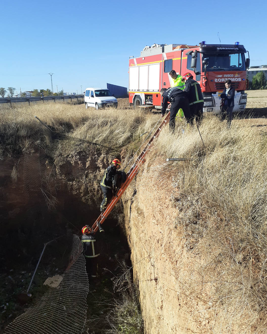 La Policía Local  de Argamasilla y los bomberos de Tomelloso rescatan a un perro atrapado en un pozo de drenaje de la A43