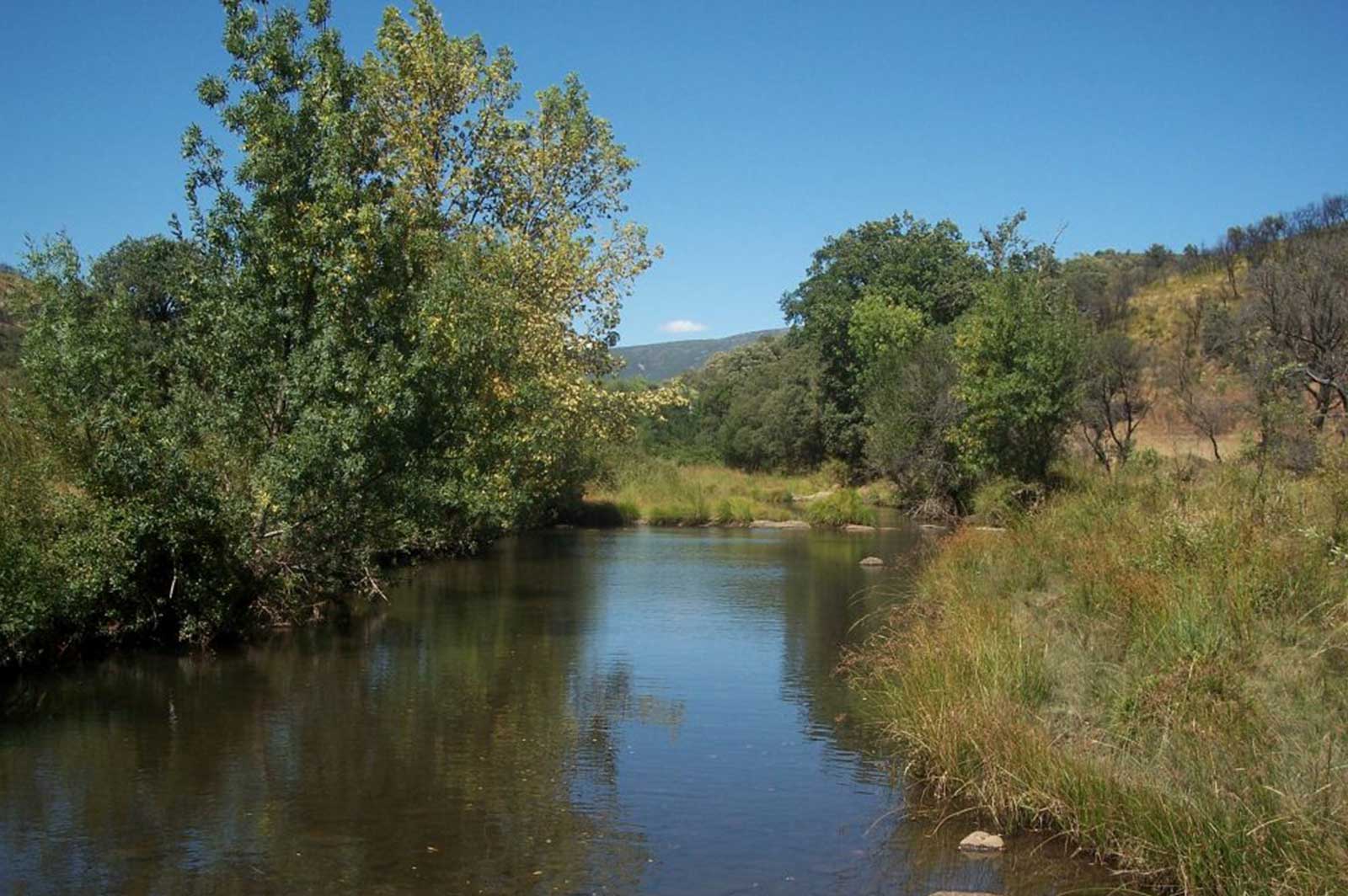 Río Estomiza