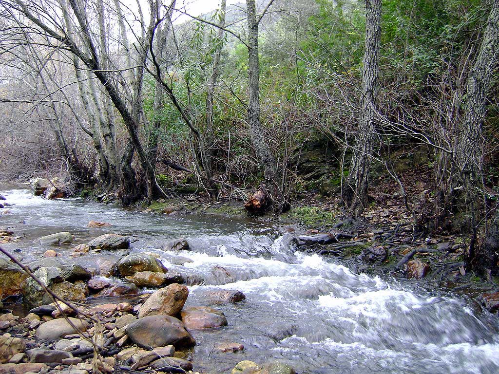 Río Robledillo