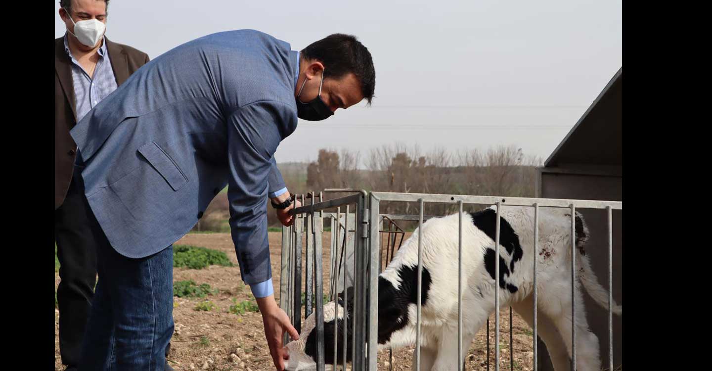 El sector agroalimentario de Castilla-La Mancha supone un 37% del total de la facturación en la exportación de la región en 2020, subiendo un 3% respecto a 2019