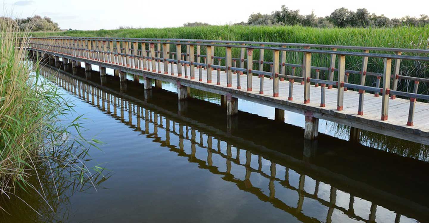 El Gobierno de Castilla-La Mancha va a crear una comisión para desarrollar el marco de actuaciones prioritarias para la recuperación del Parque Nacional de Tablas de Daimiel