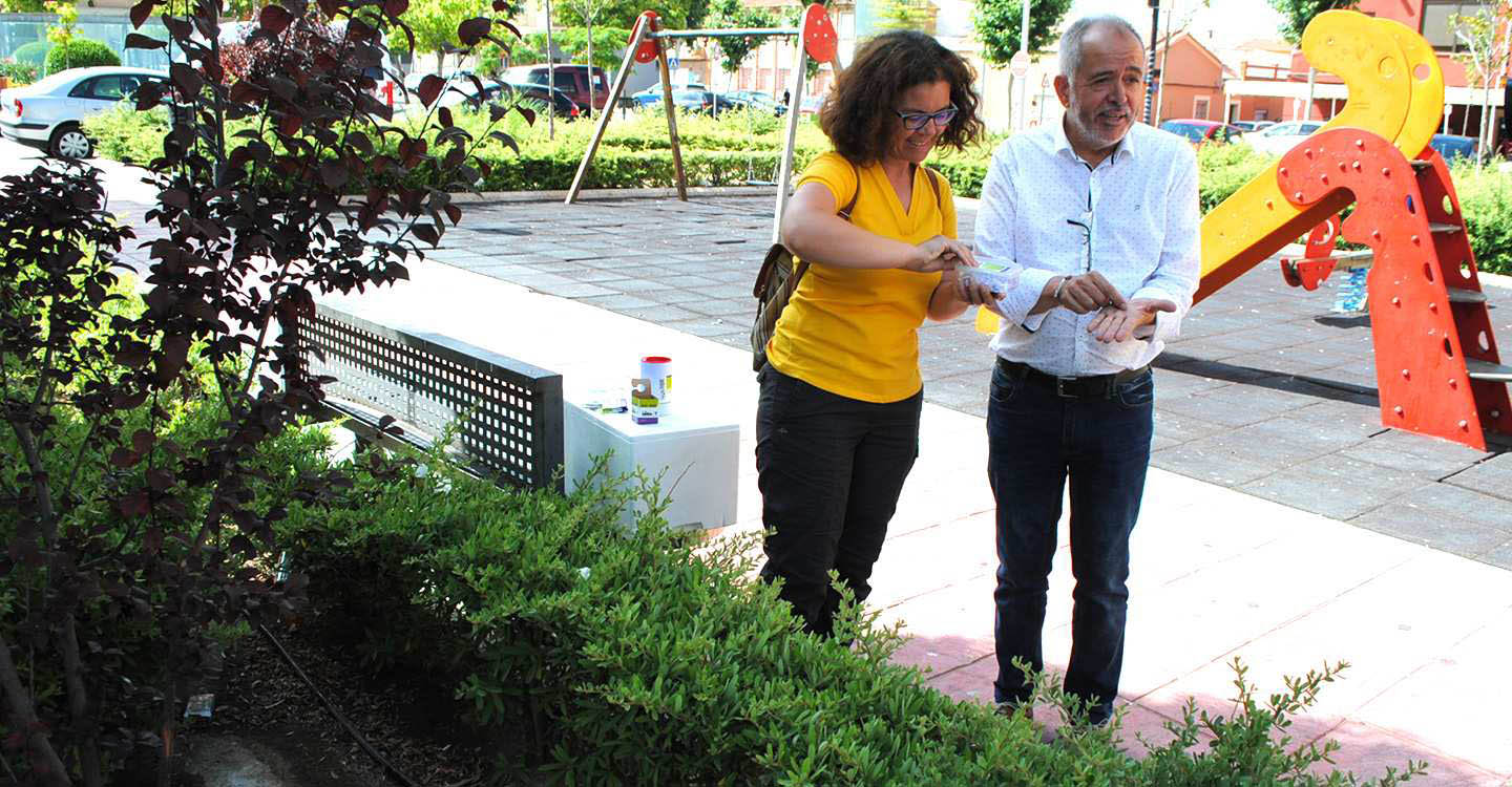 Valdepeñas recurre al control biológico mediante insectos para atacar la plaga del pulgón