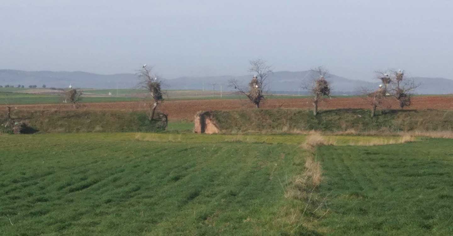 Vía Verde Minas de San Quintín