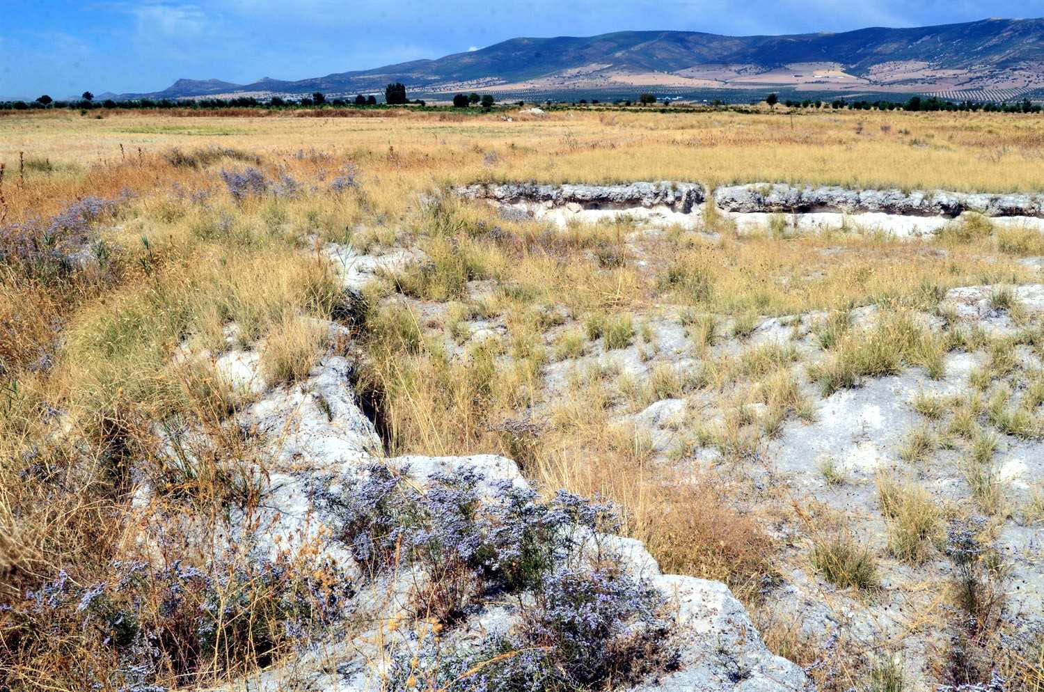 Villarrubia de los Ojos