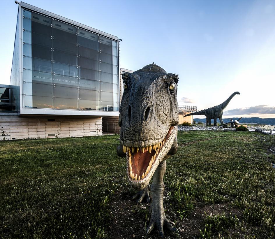 Un total de 200 especialistas de España y Portugal se darán cita en el MUPA en unas jornadas de la Sociedad de Paleontología y en el V Congreso Ibérico