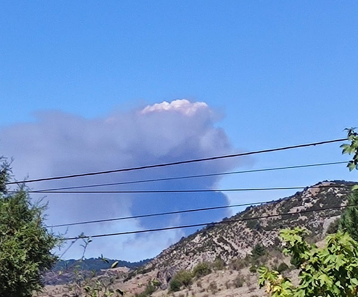 Ciudadanos pide urgentemente a la Junta medios aéreos contra el fuego en el parque natural del Alto Tajo