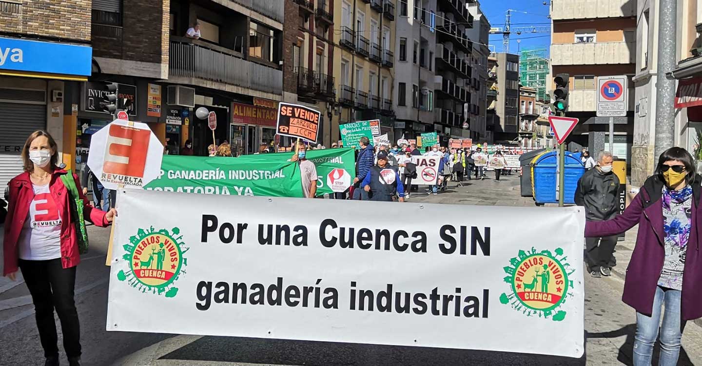 Cuenca Ahora reivindica el papel de la ganadería extensiva frente al modelo de las macrogranjas