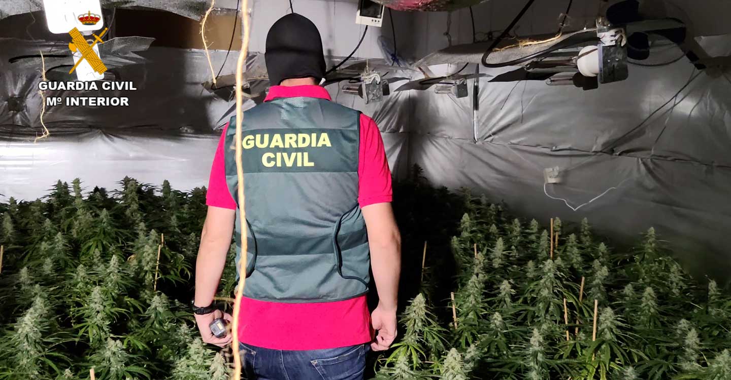 La Guardia Civil ha desarticulado un grupo familiar dedicado al cultivo y producción de marihuana en Torrejón del Rey
